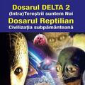 Copertă produs Dosarul Delta 2 - gallery small 