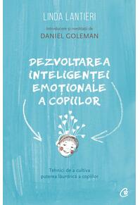 Copertă produs Dezvoltarea inteligenței emoționale a copiilor