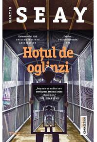 Copertă produs Hoțul de oglinzi