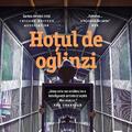 Copertă produs Hoțul de oglinzi - gallery small 
