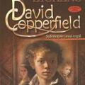 Copertă produs David Coperfield. Suferințele unui copil (vol. I) - gallery small 