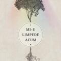 Copertă produs Mi-e limpede acum - gallery small 
