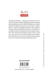 Copertă produs Doamna Bovary (Top 10+)