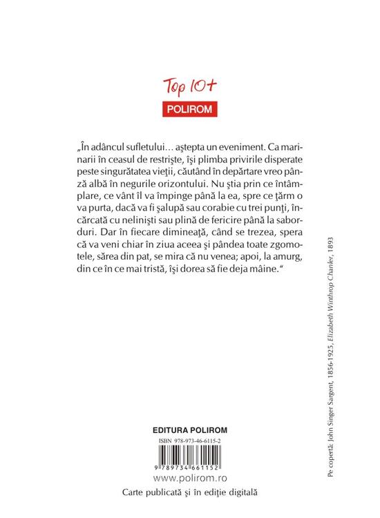 Copertă produs Doamna Bovary (Top 10+) - gallery big 2