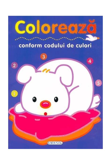 Copertă produs Activități. Colorează conform codului de culori