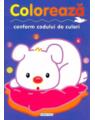 Copertă produs Activități. Colorează conform codului de culori - thumb 1