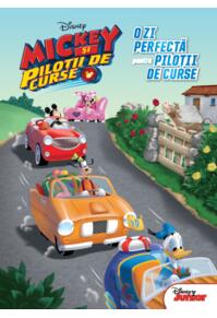 Copertă produs O zi perfectă pentru piloții de curse