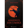 Copertă produs Asasinul din umbră (Vol. 1)