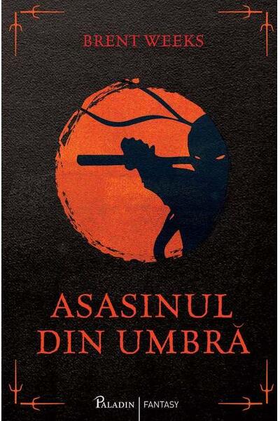 Asasinul din umbră (Vol. 1)
