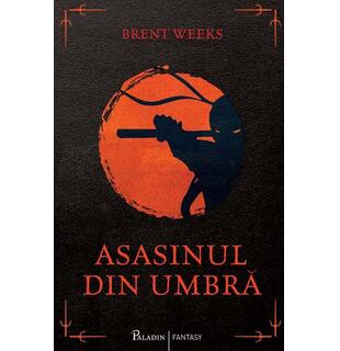 Asasinul din umbră
