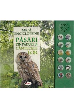 Copertă produs Păsări din pădure și c&acirc;ntecele lor