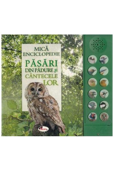 Păsări din pădure și c&acirc;ntecele lor