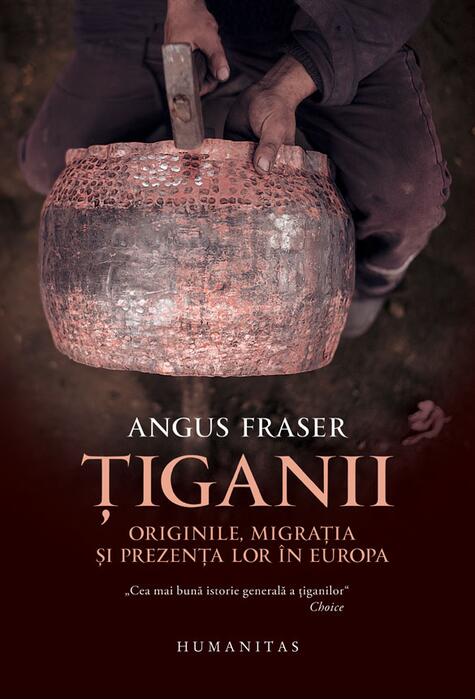 Copertă produs Țiganii