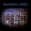 Copertă produs Noaptea, ca hoții - gallery small 