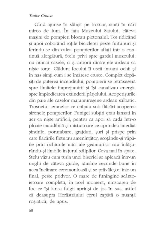 Copertă produs Miere - gallery big 5
