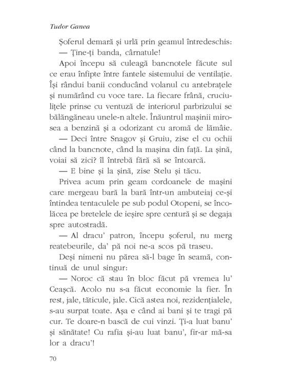 Copertă produs Miere - gallery big 7