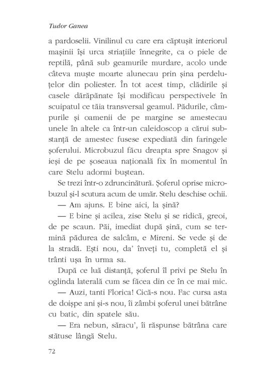 Copertă produs Miere - gallery big 9