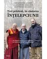 Copertă produs Trei prieteni, &icirc;n căutarea &icirc;nţelepciunii. Un călugăr, un filosof şi un psihiatru ne vorbesc despre lucrurile esenţiale - thumb 1