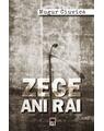 Copertă produs Zece ani răi - thumb 1