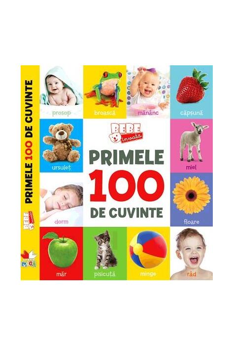 Copertă produs Bebe &icirc;nvață. Primele 100 de cuvinte