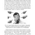 Copertă produs EMDR şi vindecarea prin Tao - gallery small 