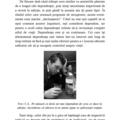 Copertă produs EMDR şi vindecarea prin Tao - gallery small 