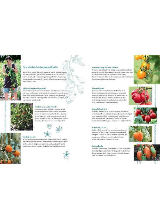Copertă produs Tomatele - de la pasiune la practică - gallery big 2