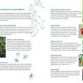 Copertă produs Tomatele - de la pasiune la practică - gallery small 