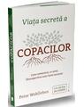 Copertă produs Viața secretă a copacilor - thumb 1