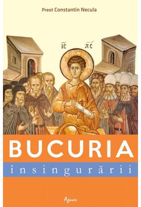 Copertă produs Bucuria &icirc;nsingurării