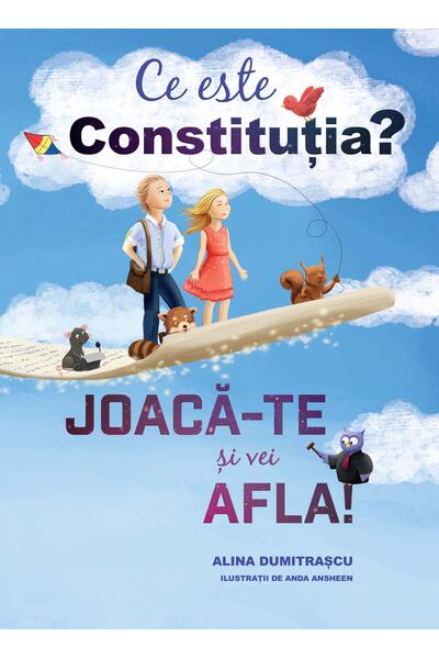 Ce este constituția?
