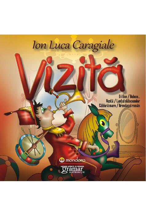 Copertă produs Vizită
