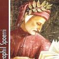 Copertă produs Dante și literatura europeană - gallery small 