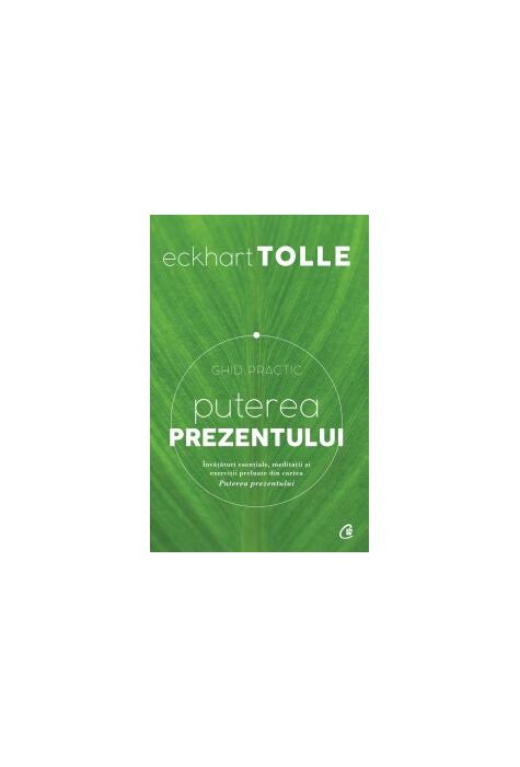 Copertă produs Puterea prezentului