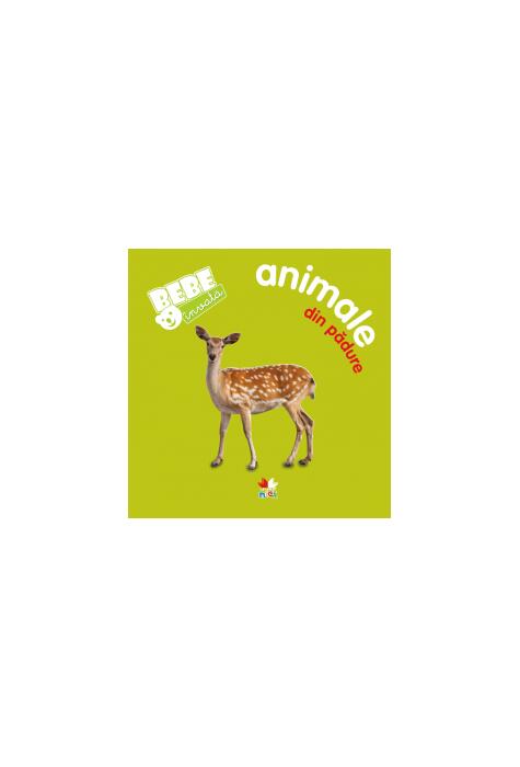 Copertă produs Animale din pădure