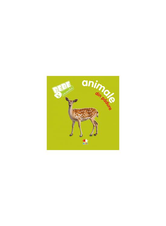 Copertă produs Animale din pădure - gallery big 1
