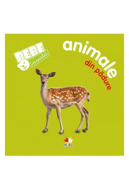 Copertă produs Animale din pădure
