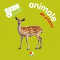 Copertă produs Animale din pădure - gallery small 