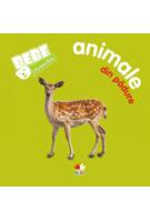 Imagine produs Animale din pădure