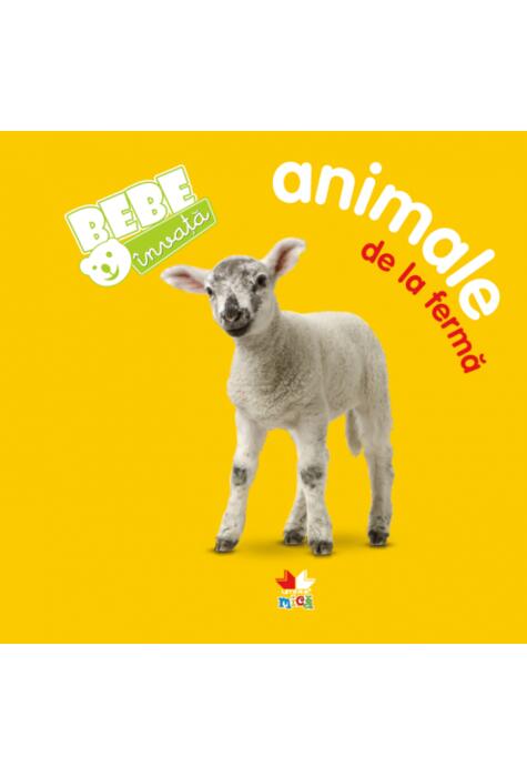 Copertă produs Bebe invaţă. Animale de la fermă