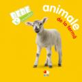 Copertă produs Bebe invaţă. Animale de la fermă - gallery small 