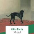 Copertă produs Sf&acirc;rşitul - gallery small 