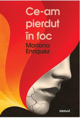 Copertă produs Ce-am pierdut în foc