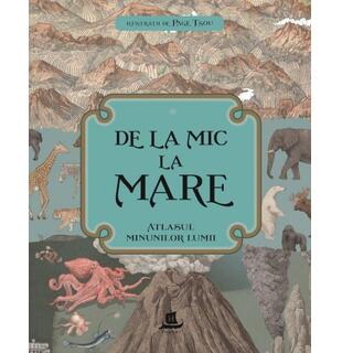 De la mic la mare