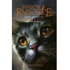 Copertă produs Pisicile războinice. Noua profeție. Răsărit de Lună (Vol. 8)