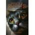Copertă produs Pisicile războinice. Noua profeție. Răsărit de Lună (Vol. 8)