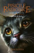 Pisicile războinice. Noua profeție. Răsărit de Lună (Vol. 8)