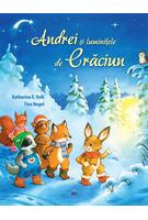 Andrei și luminițele de Crăciun