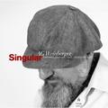 Copertă produs Singular. Lamentări, observații, studii, poezii și alte texte - gallery small 