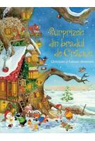 Surprizele din bradul de Crăciun